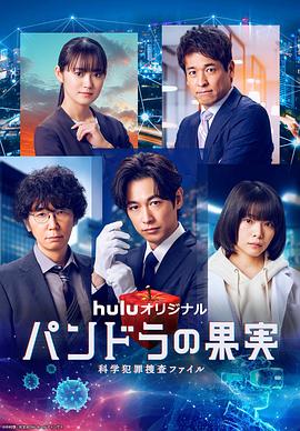 景洪网站优化哪家好